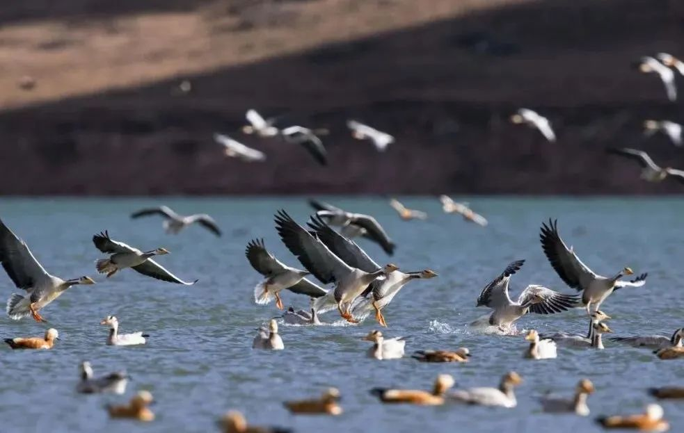 3214ff7edeee4867d2d6dd40e66e6c81.png 3214ff7edeee4867d2d6dd40e66e6c81.png