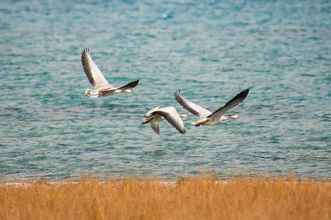 e9c8aaff43fd61cd08098f4211b908d7.png e9c8aaff43fd61cd08098f4211b908d7.png