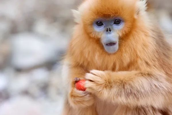 e5ba59b99c38a3e4335492b7a2ac2cc3.jpg e5ba59b99c38a3e4335492b7a2ac2cc3.jpg