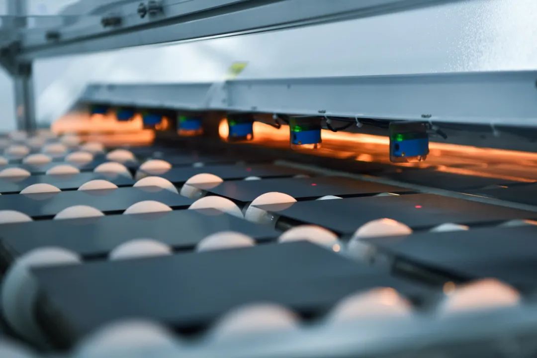 5e9ef0c2e72f44baa6be3b439efd11fd.jpg 5e9ef0c2e72f44baa6be3b439efd11fd.jpg