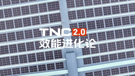 e763d9bf70691c37f07cd3e23c04ad8c.gif e763d9bf70691c37f07cd3e23c04ad8c.gif